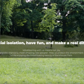 Join Us at Backhouse Park